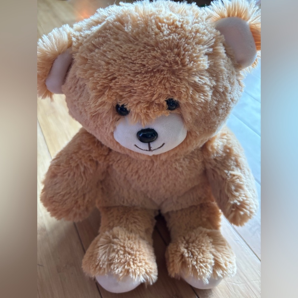 Radio flyer stuffed teddy bear. Approx 13 inches long. NWOT.